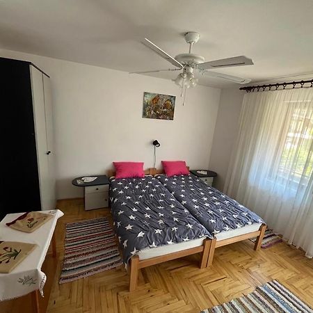 Apartman Velojic Donji Milanovac Eksteriør billede