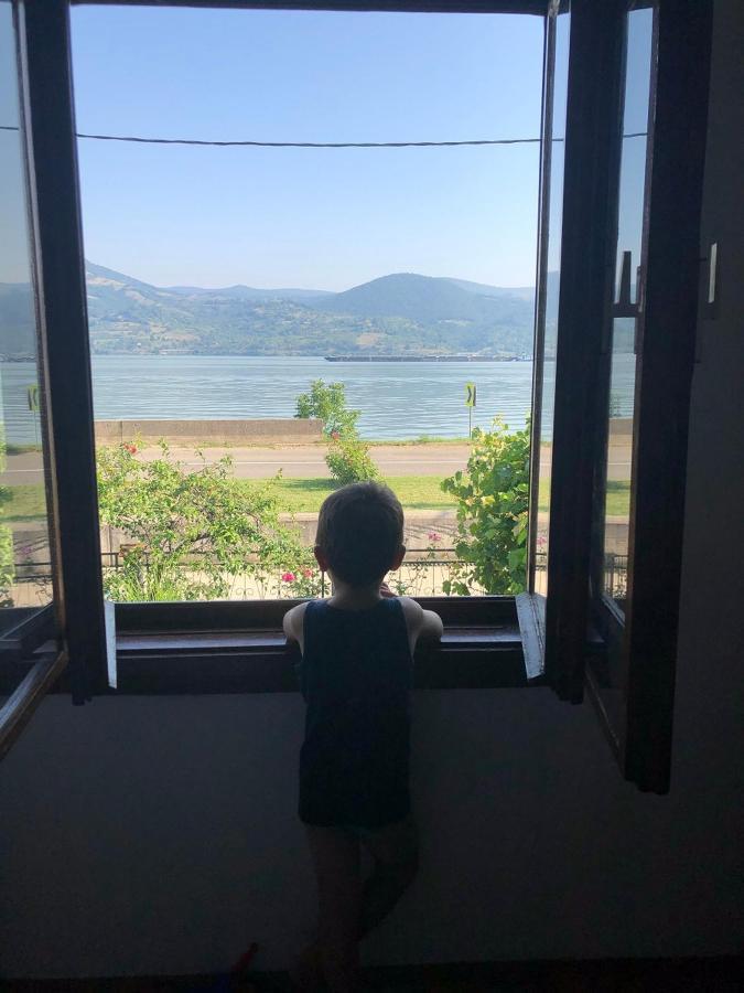 Apartman Velojic Donji Milanovac Eksteriør billede