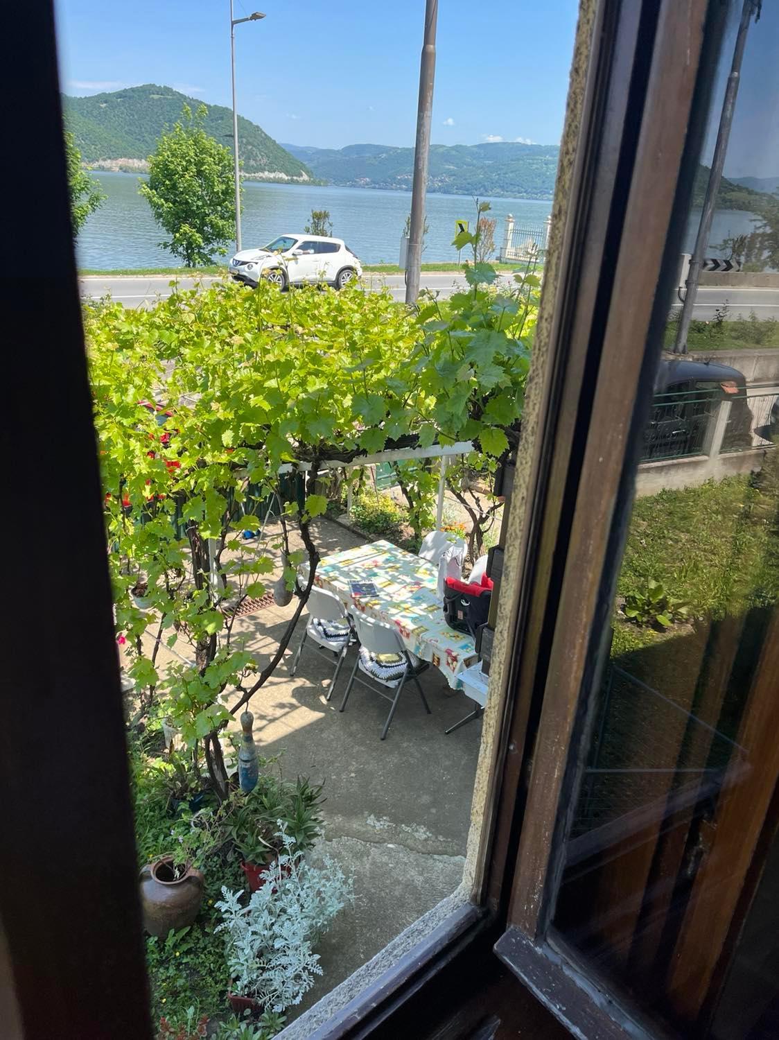 Apartman Velojic Donji Milanovac Eksteriør billede